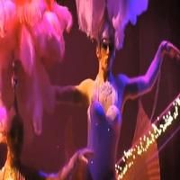 STAGE TUBE: West End PRISCILLA Wows